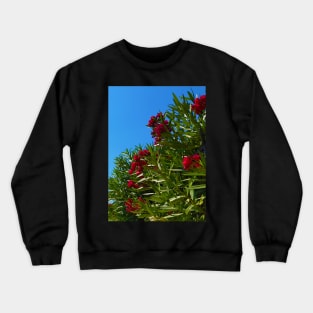 Red Mediterranean Flowers Crewneck Sweatshirt